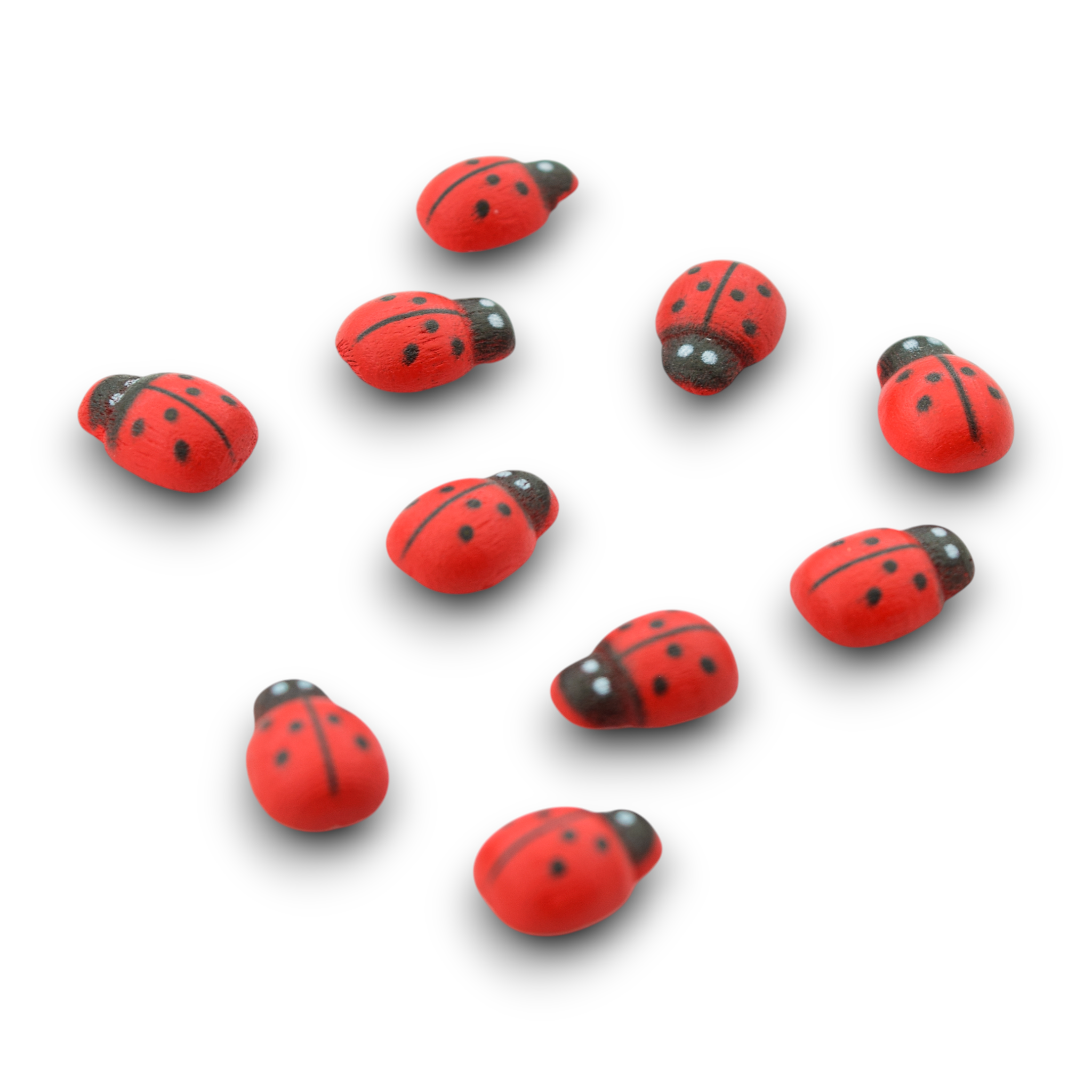 Wooden Ladybugs